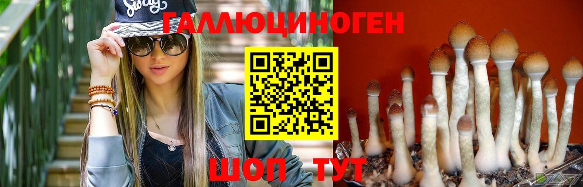 Галлюциногенные грибы прущие грибы  Вход с VPN  Астрахань 